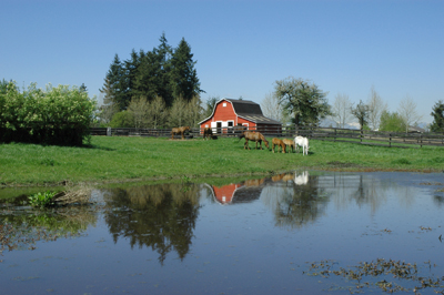 Fort Langley Farm
