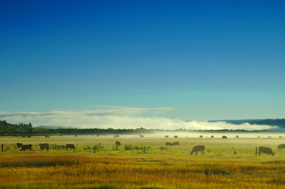Tatla Lake Ranch