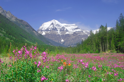 Mount Robson