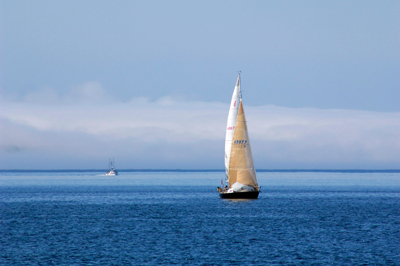 Sointula Sail Boats